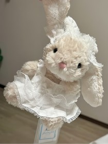 我可以变成毛绒玩具