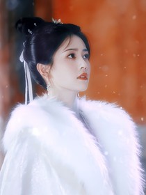 朝雪錄：漫漫聆雪落