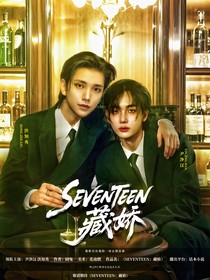 SEVENTEEN：藏嬌
