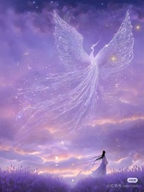星尘与相遇