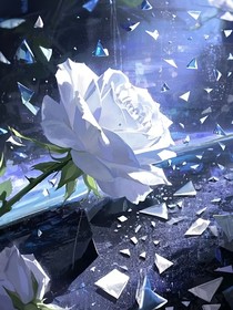 深锁蔷薇，陆先生的心牢