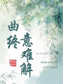 曲終，意難解