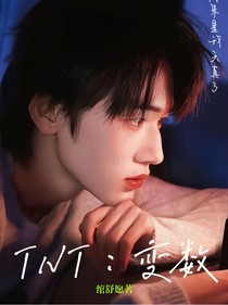 TNT：變數(shù)