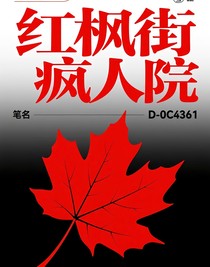 红枫街疯人院