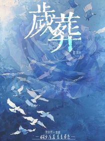 岁葬