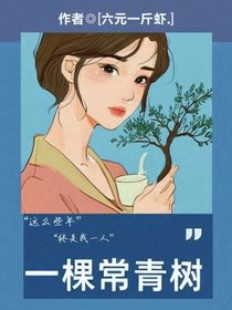 一棵常青樹