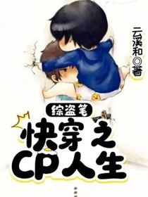 綜盜筆：快穿之CP人生