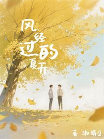 风经过的夏天