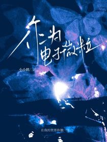 作为电子微粒
