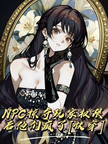 NPC掠奪玩家權(quán)限后他們瘋了（快穿）