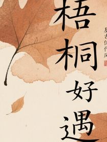 梧桐好遇