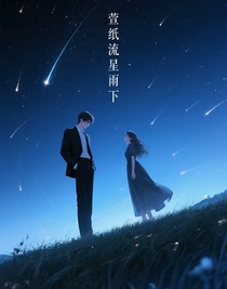 萱紙流星雨下