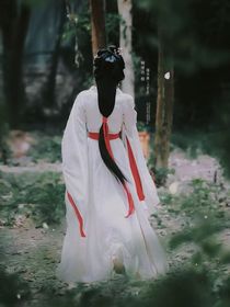 综影视：似锦