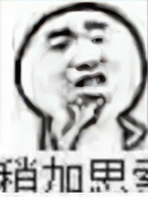 朕的表情包