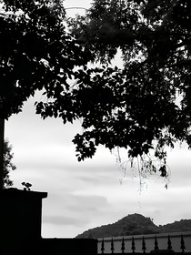 酸感