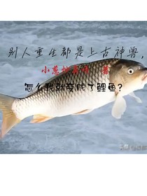 別人重生都是上古神獸，怎么我就成了鯉魚？