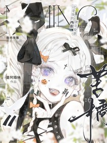 这是我的西游：匿名爱意