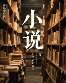 旧书店的回声
