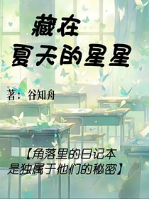 藏在夏天的星星