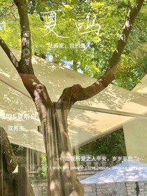 夏……鳴