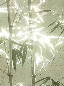 因青春而光芒