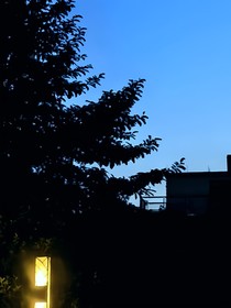 超級雜亂合集