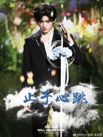 止于心跳
