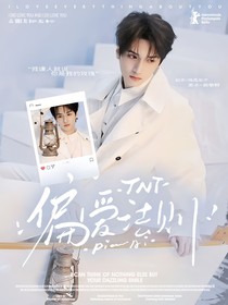 TNT：偏愛法則