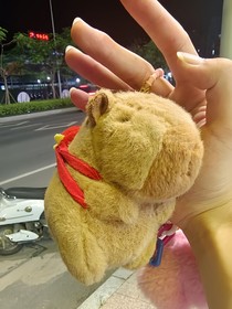 你好，我叫莫雨的小日记