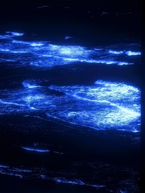 爆裂飛車：水中雙生