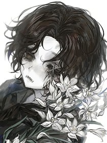 怪盜少男偶與偵探二世火