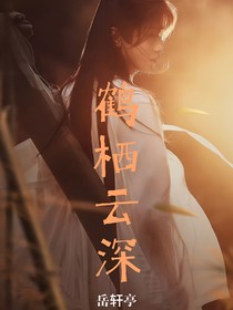 陳情令：鶴棲云深