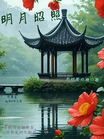 明月昭照