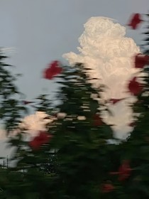 飞天小女警：迷宫里的玫瑰