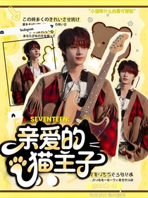 SEVENTEEN：亲爱的猫主子