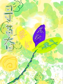 寻暮