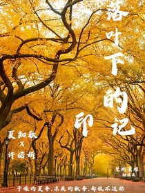 落葉下的印記