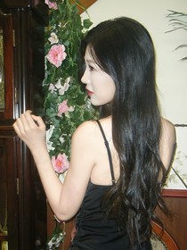 综影视：怎敌她风情万种