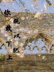 你竟敢以下犯上