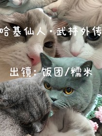 哈基仙人：武林外传