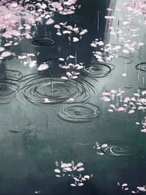 沈总他又犯病了，黎助快来安抚