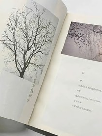 查九：故人重逢