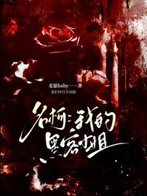 名柯：我的黑客小姐