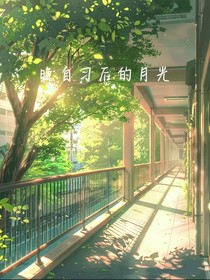 晚自習(xí)后的月光