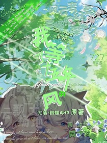 我等了十五年的风