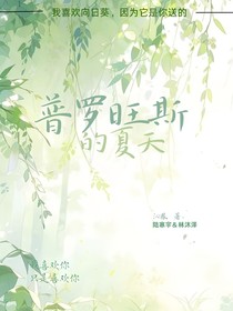 普罗旺斯的夏天