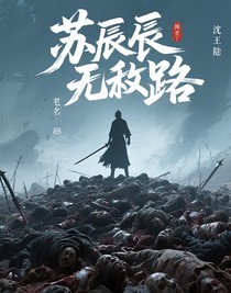 苏辰无敌路