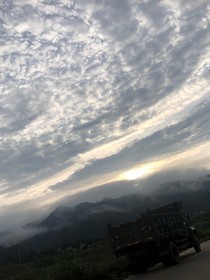 林漾明天見