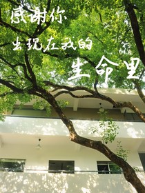 感谢你出现在我的生命里