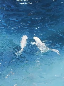 被子同學(xué)，十八歲的青春才剛剛開始